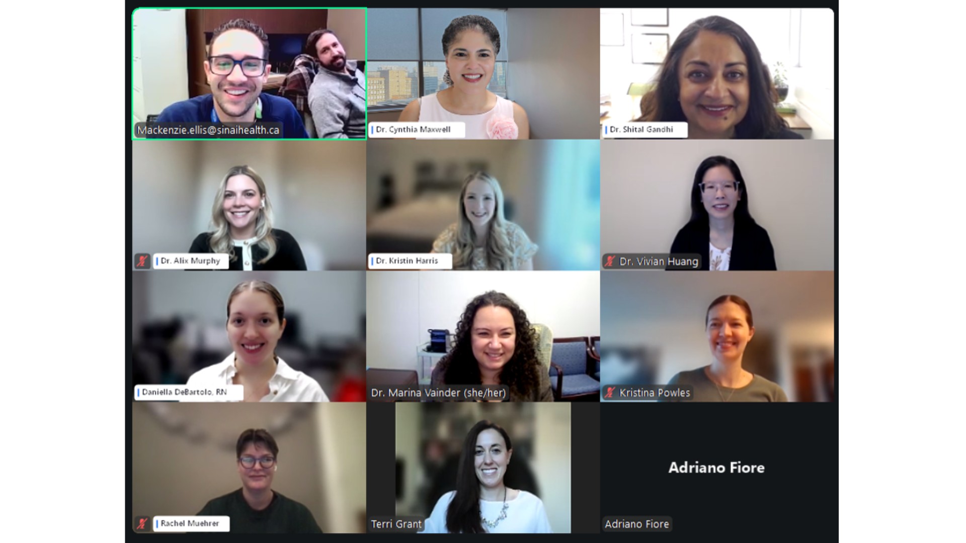 a grid of images of people participating in a Zoom call