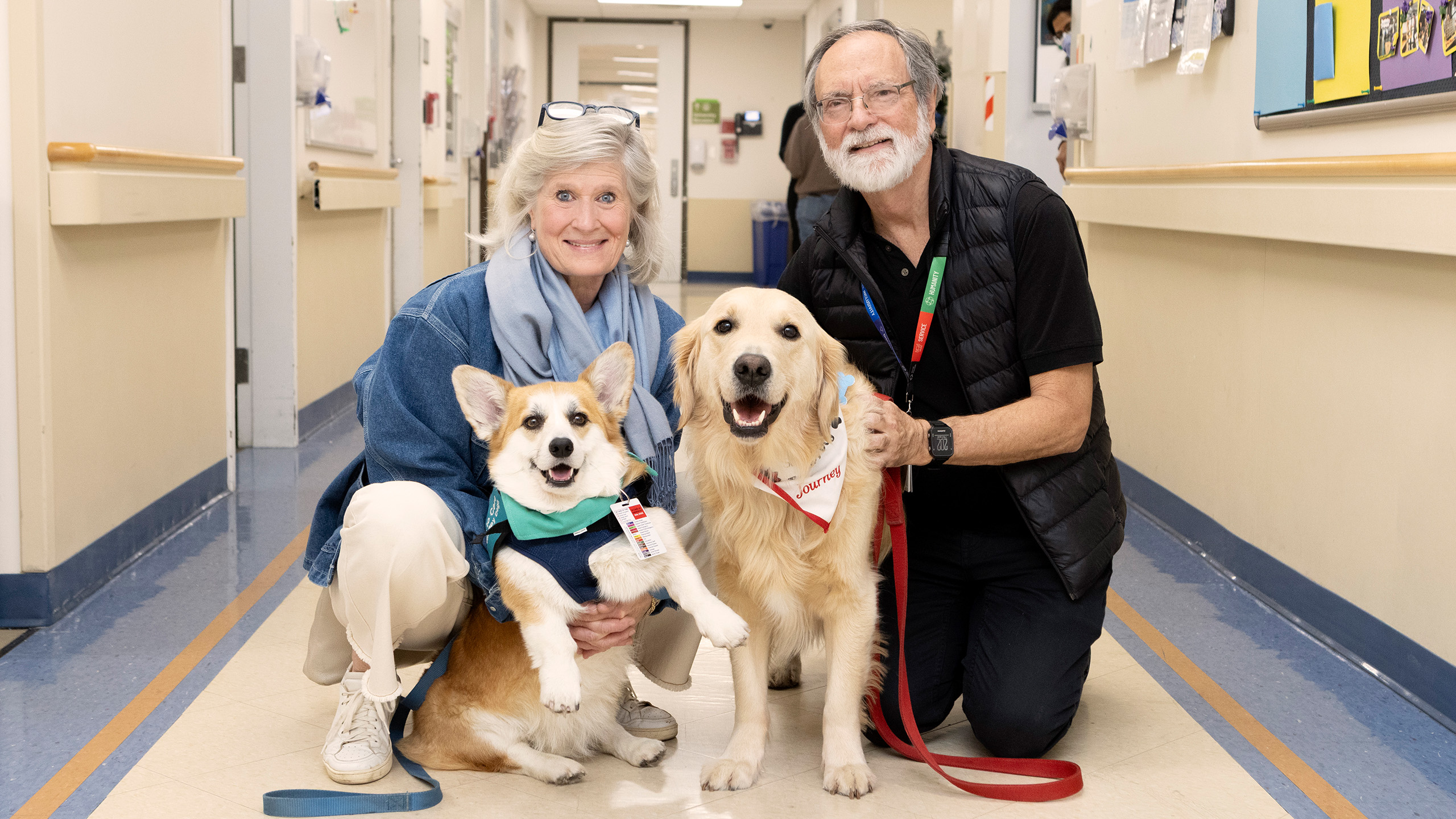 a man and a woman and a corgi and golden retriever