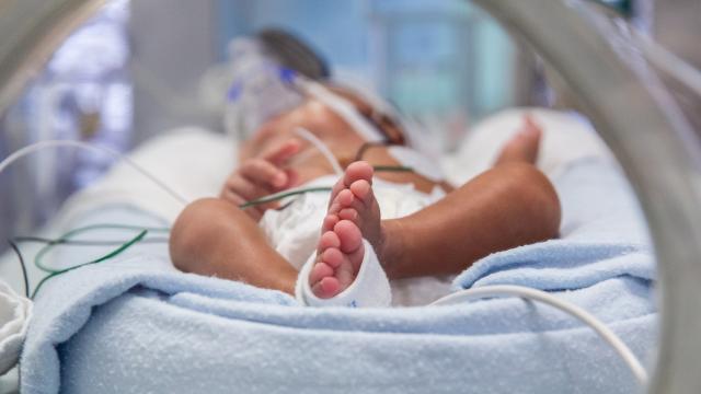 The feet of a baby within the Mount Sinai neonatal intensive care unit