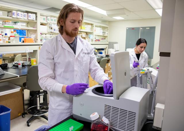 Researchers working in the lab. 
