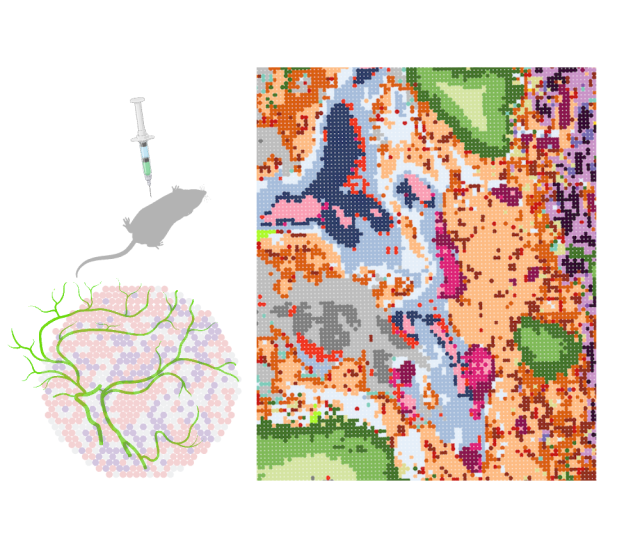 Scientific illustration of the development of integrative spatial profiling technologies. 
