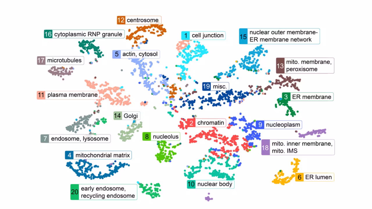 research data schematic