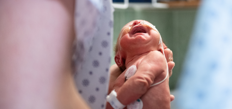 Newborn baby being held in someone's hands