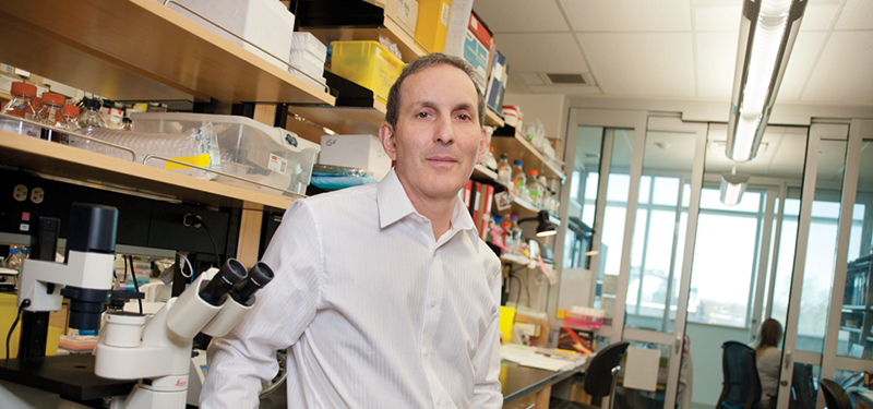 Dr. Daniel Drucker in his laboratory
