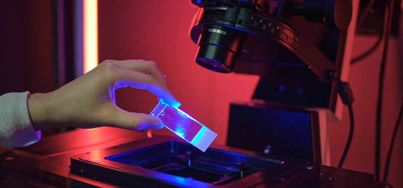 A microscope slide is held above the light of a microscope.