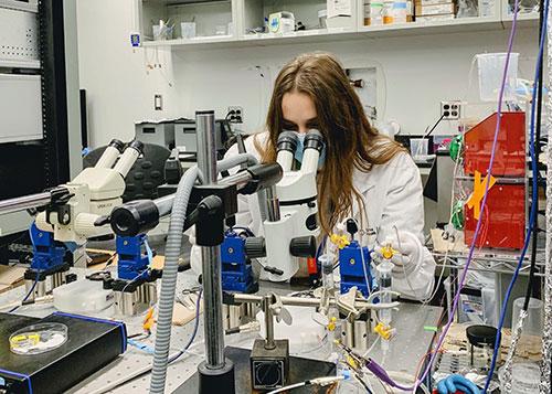Medium close image of young woman with long hair sitting at a medical work station surrounded by equipment, looking into a microscope.