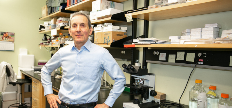 Dr. Daniel Drucker in a blue dress shirt standing in a lab.