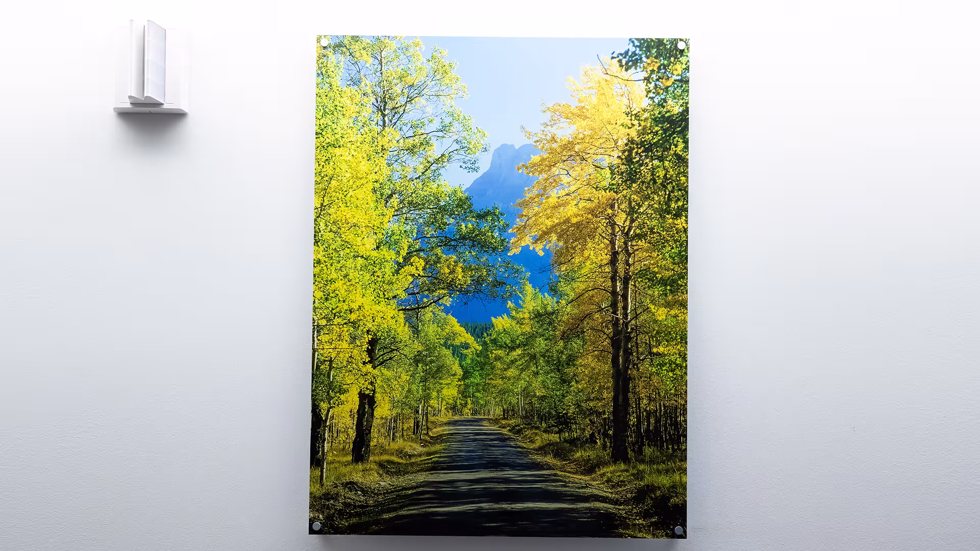 A painting of green, tall trees and mountains hang against a white wall in Mount Sinai’s Cancer Care Clinic.
