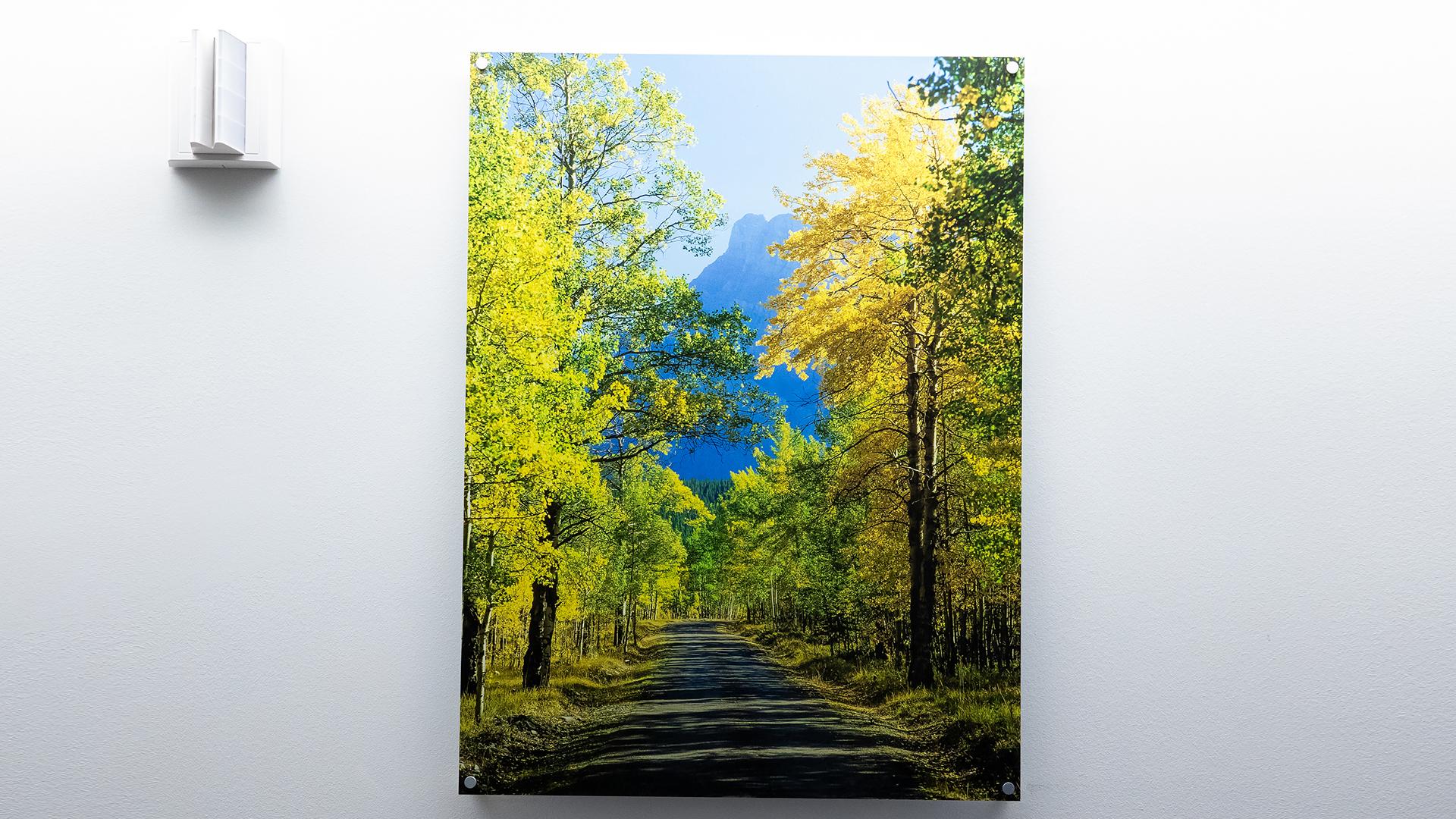 A painting of green, tall trees and mountains hang against a white wall in Mount Sinai’s Cancer Care Clinic.