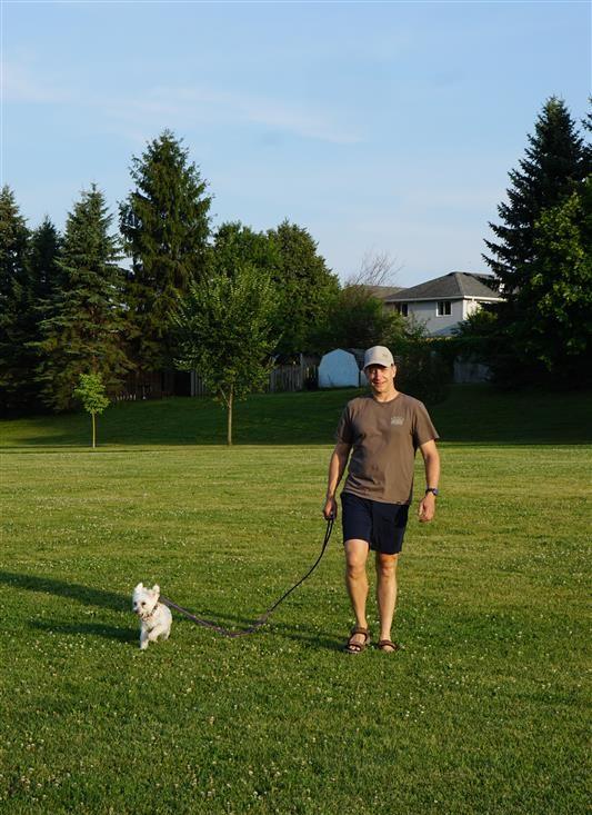 man walking in a field with dog