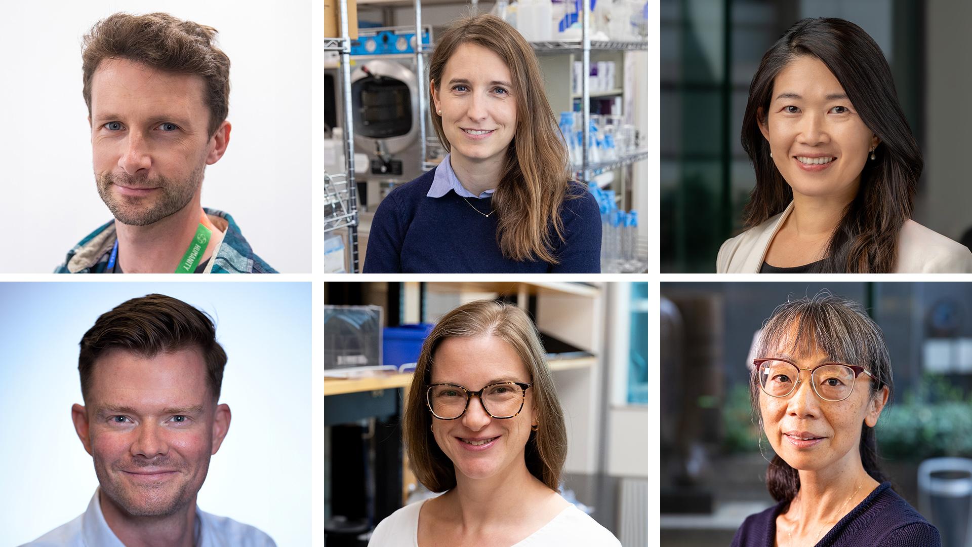 Collage of Drs. Kieran Campbell, Diane Haakonsen, Rayjean Hung, Hartland Jackson, Katherine Stewart and Mei Zhen.