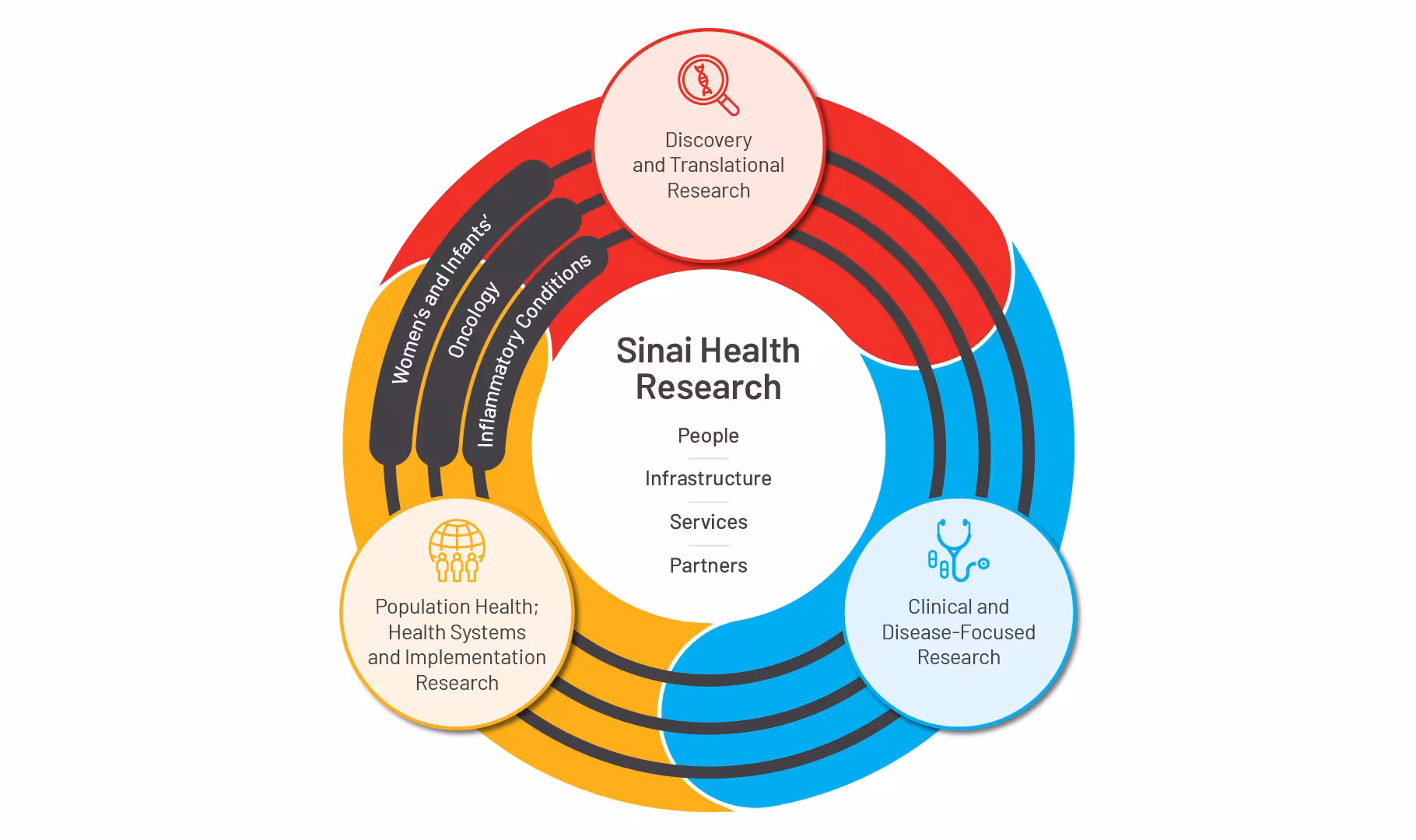 An image of the Sinai Health Research model that outlines the three areas of focus that will help us achieve our Research Vision.
