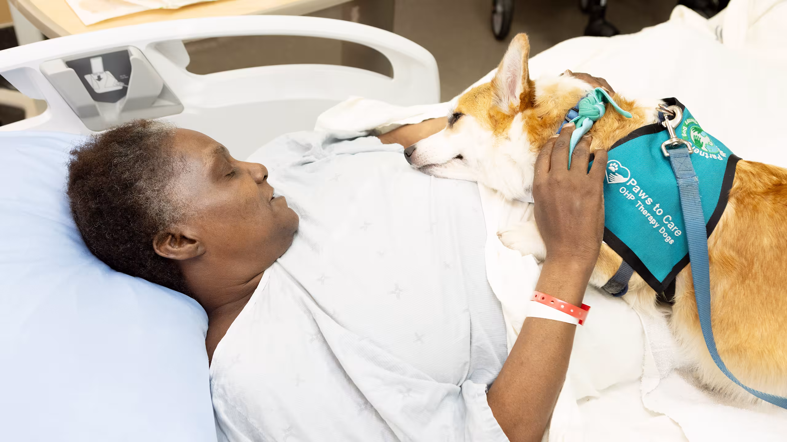 patient with corgi