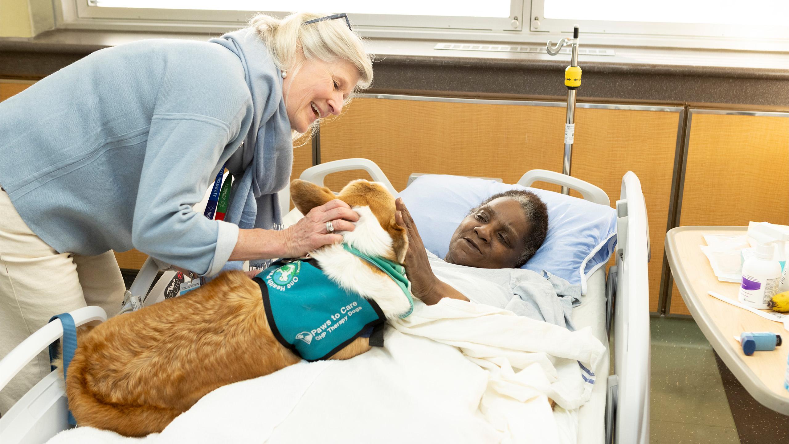 corgi sits on hospital bed with patient