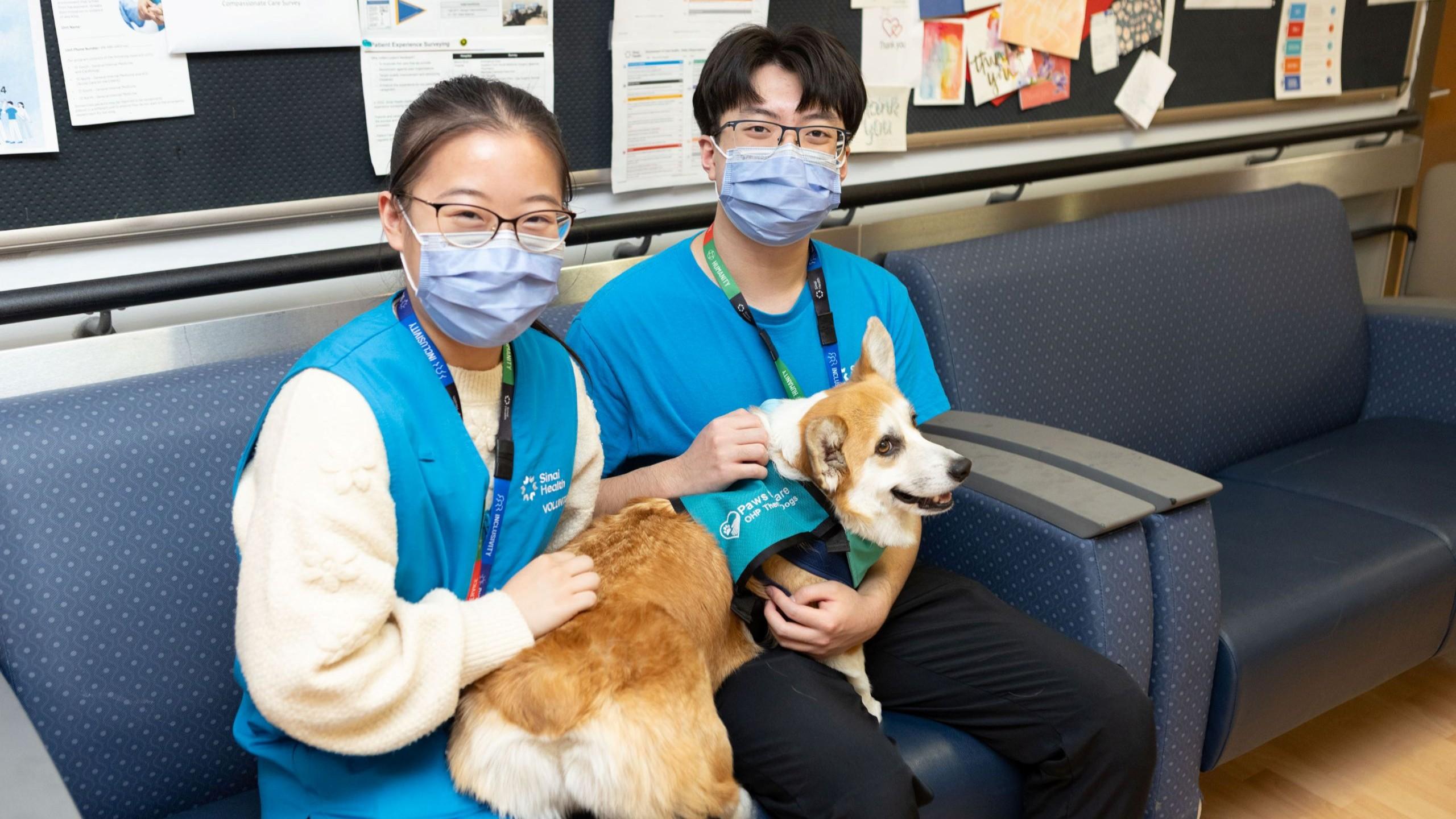 MAUVE volunteers with corgi