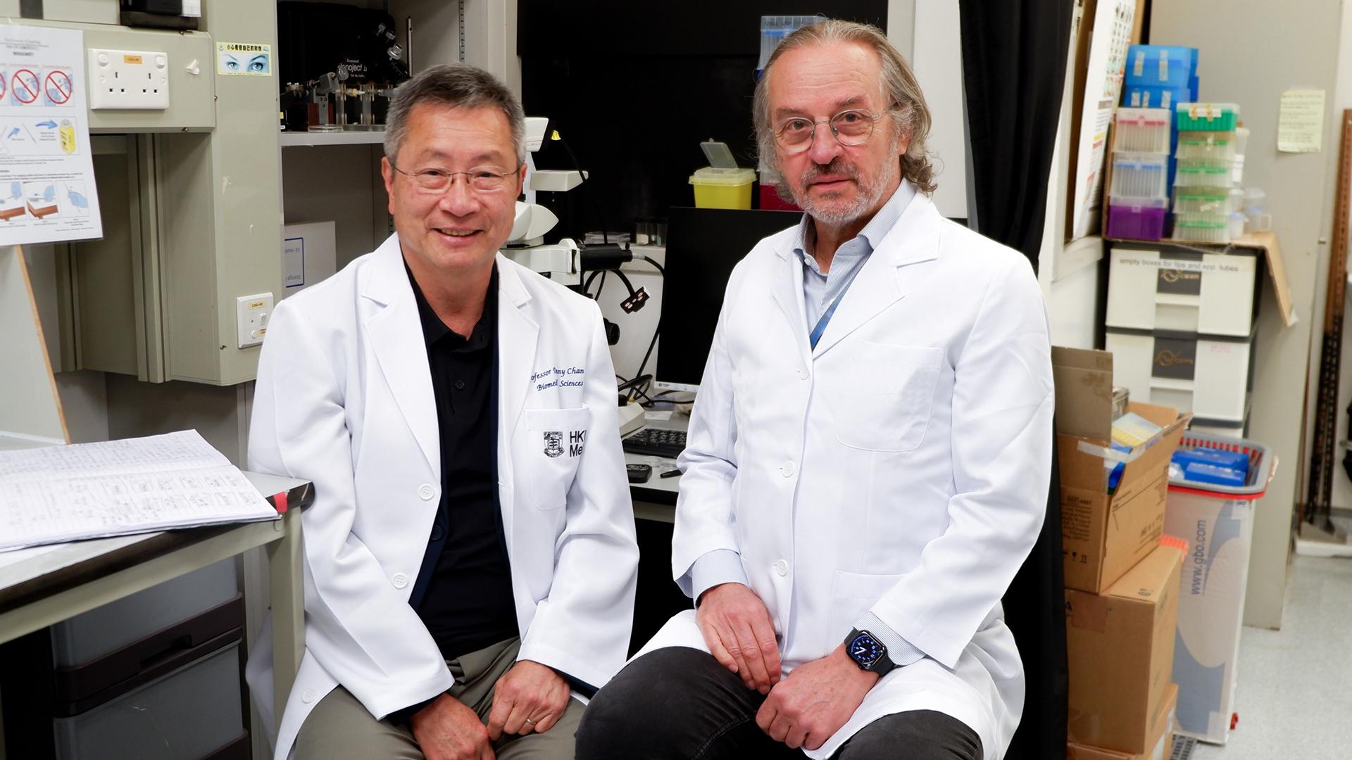 Drs. Danny Chan and Andras Nagy sit in the laboratory at Hong Kong University. 