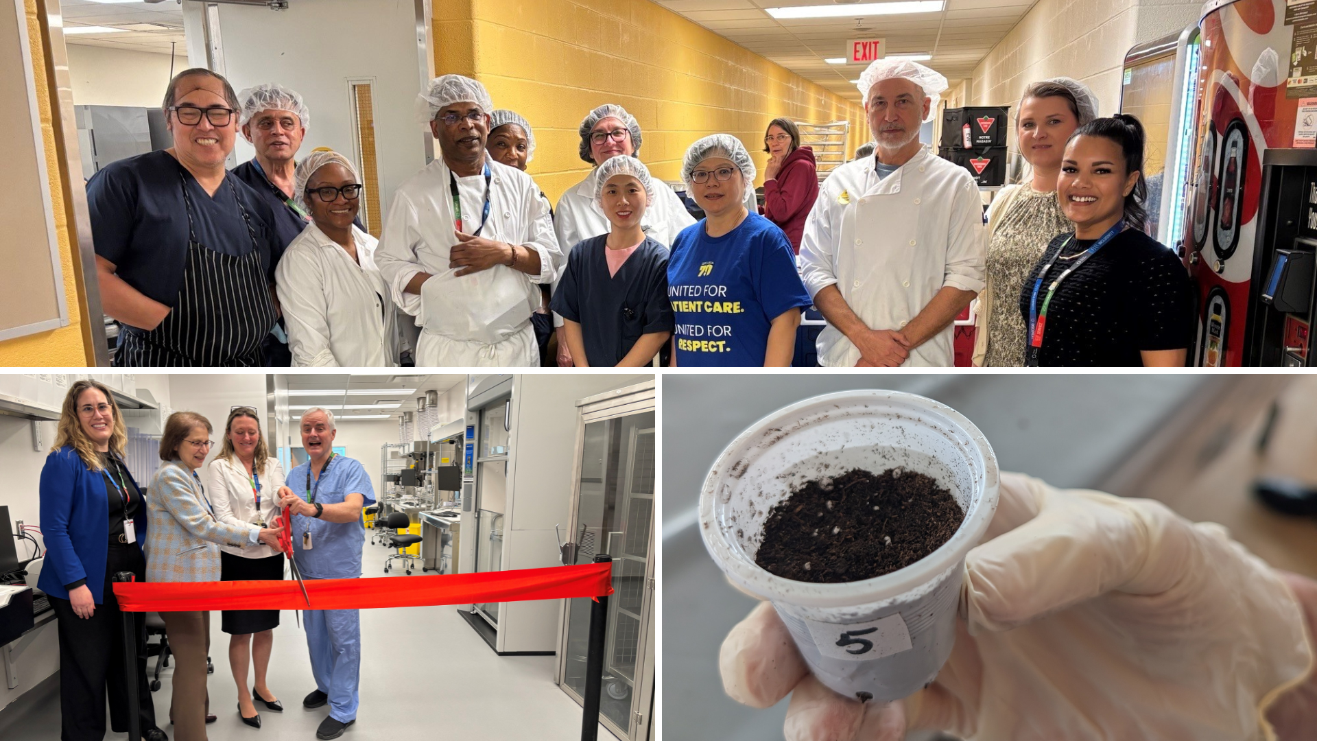 Three photos together, One on top is a group photo of people who work in Food Services at Hennick Bridgepoint Hospital in a hallway near the kitchen. Below are two photos. One of a small group of people cutting a red ribbon that extends across a part of a new lab space. The other is of a hand with a medical-type glove, holding a small plastic cup filled with dirt where a seed has been planted. 