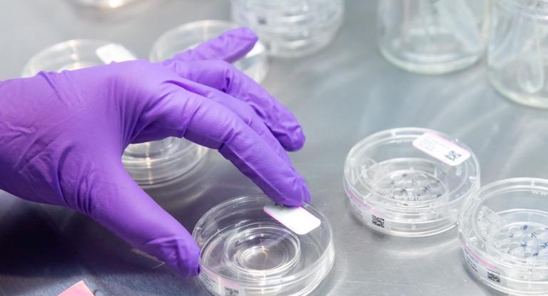 A gloved hand handling labeled petri dishes in a laboratory used for fertility or IVF procedures
