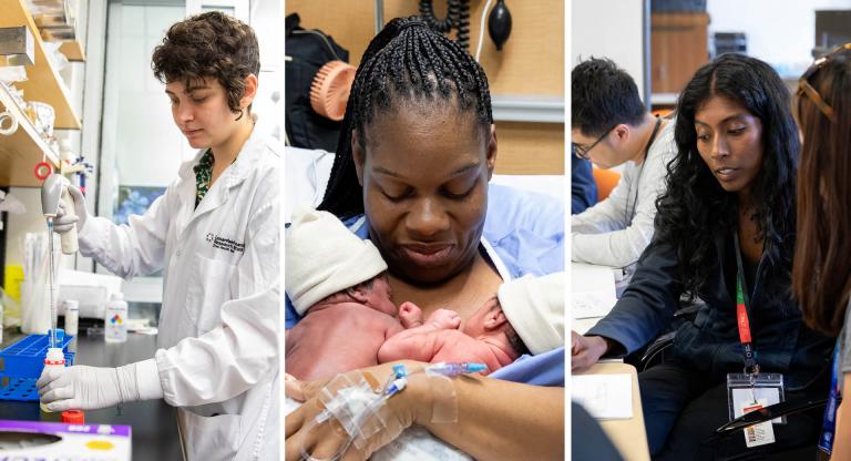  A collage of the domains of the Research Strategic Plan. 