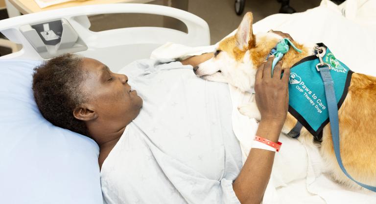 patient with corgi