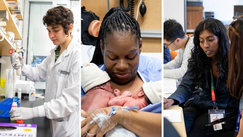  A collage of the domains of the Research Strategic Plan. 