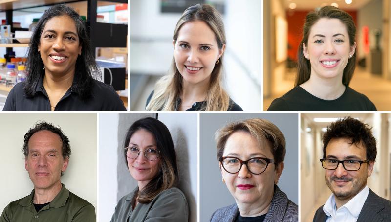 A collage of the headshots of Drs. Adele Changoor, Kristina Kokorelias, Kelsey McLaughlin, Ian Rogers, Marianne Saragosa, Oksana Shynlova and Williams Turpin. 