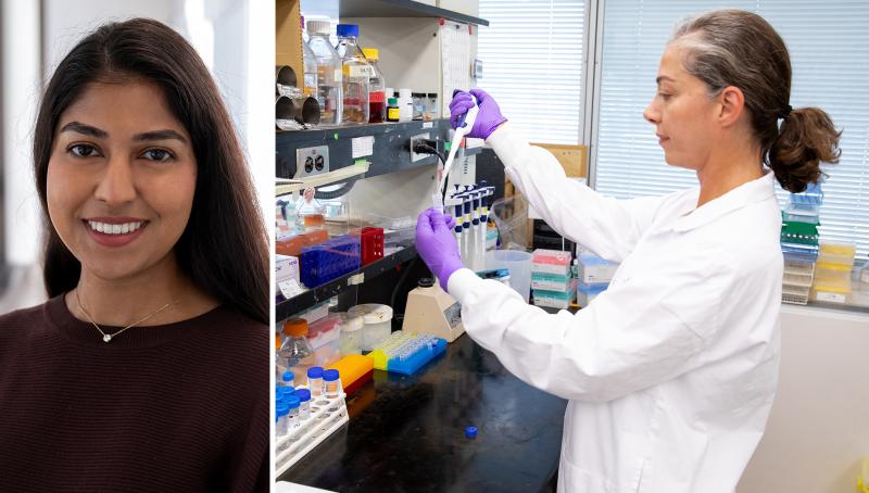 A collage of headshots of Drs. Yaanu Jeyakumar and Rasha Al Mismar.