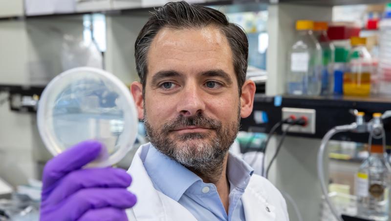 scientist examining a petri dish, he is wearing a lab coat and purple gloves