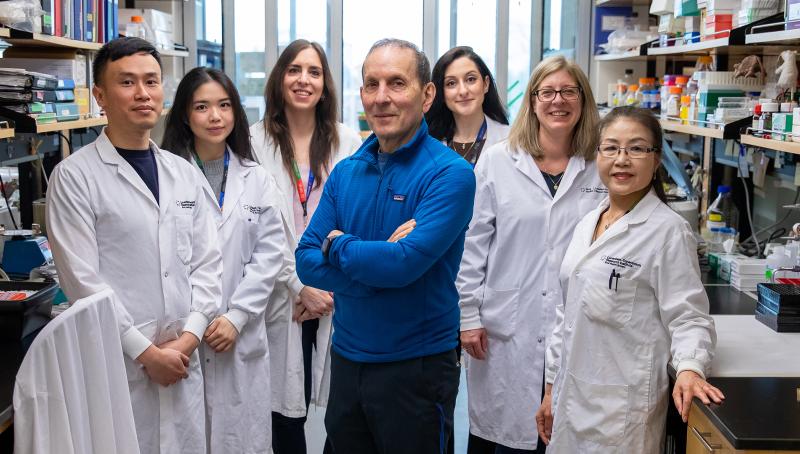 Dr. Daniel Drucker posing in the center with his lab members on each side of him in their lab.