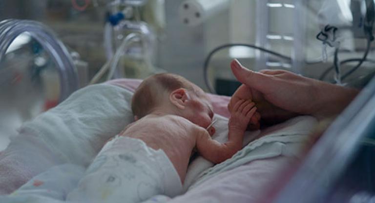 Small baby in incubator holding a hand.