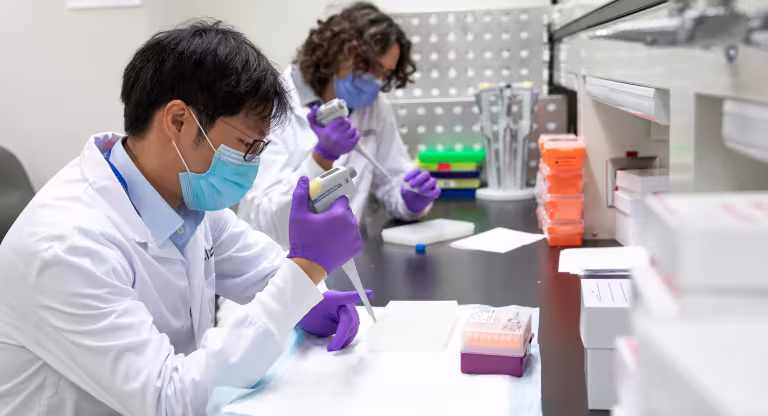 Two researchers wearing masks and lab coats are pipetting liquid into tubes in the lab