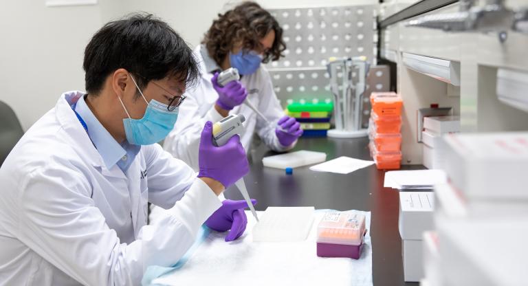 Two researchers wearing masks and lab coats are pipetting liquid into tubes in the lab