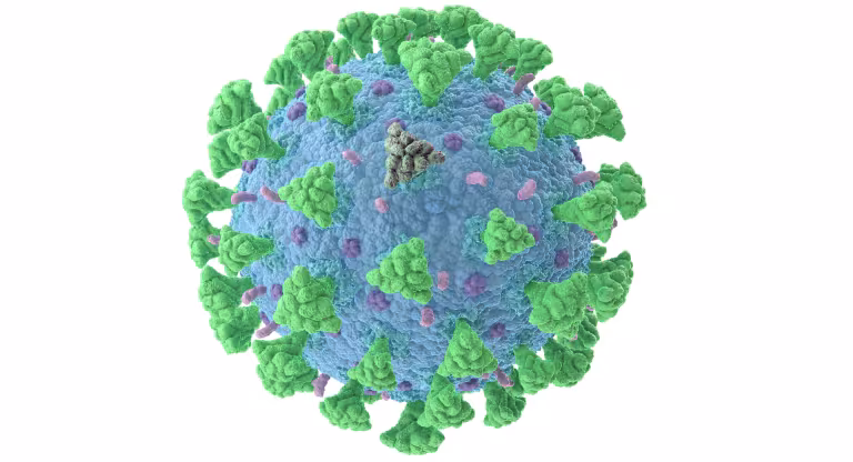 rendering of virus