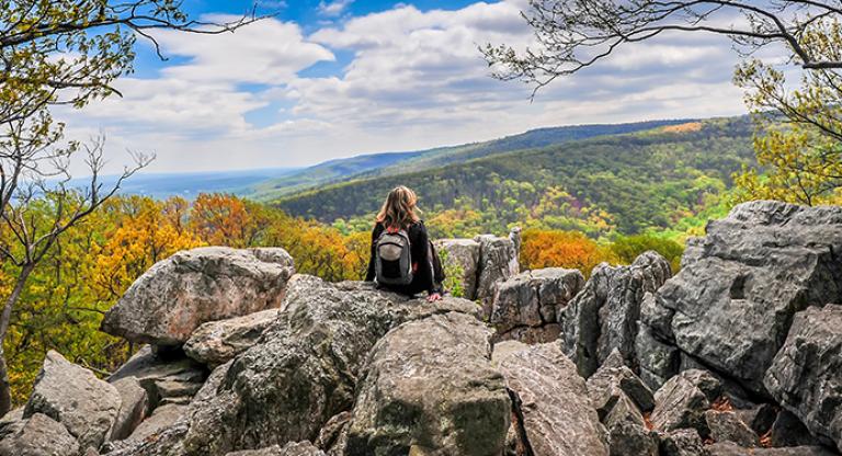 Five tips for a healthier fall