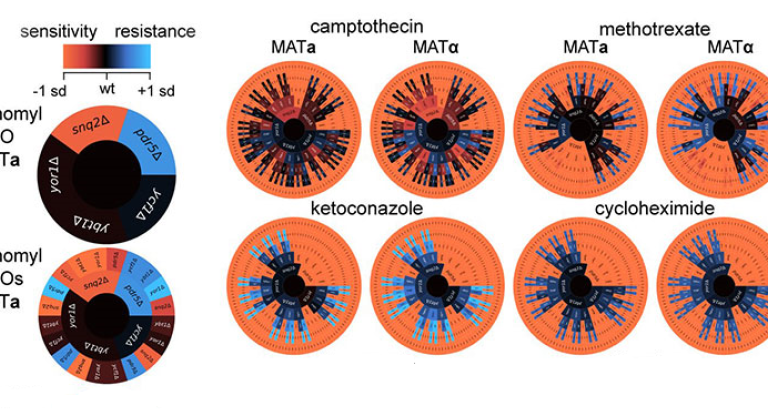 Computerized renderings of genes.