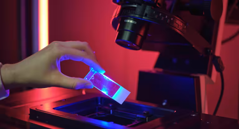 A microscope slide is held above the light of a microscope.