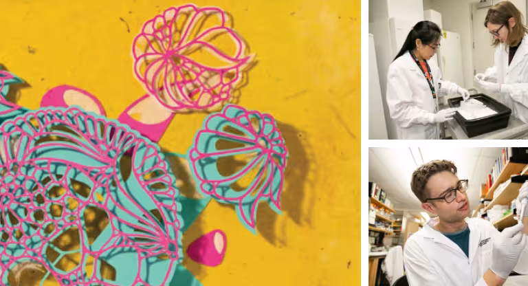 Composite image of researchers in the lab.