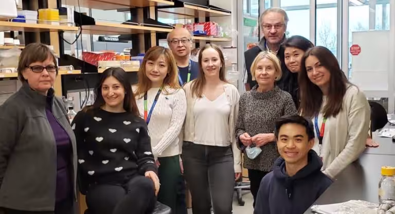 Scientists create “cloaked” donor cell and tissue grafts that escape rejection by the immune system