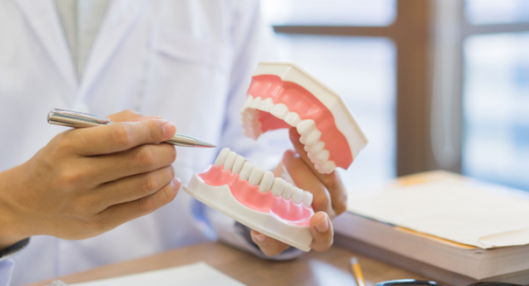 Scientist is holding a teeth model in his hand.