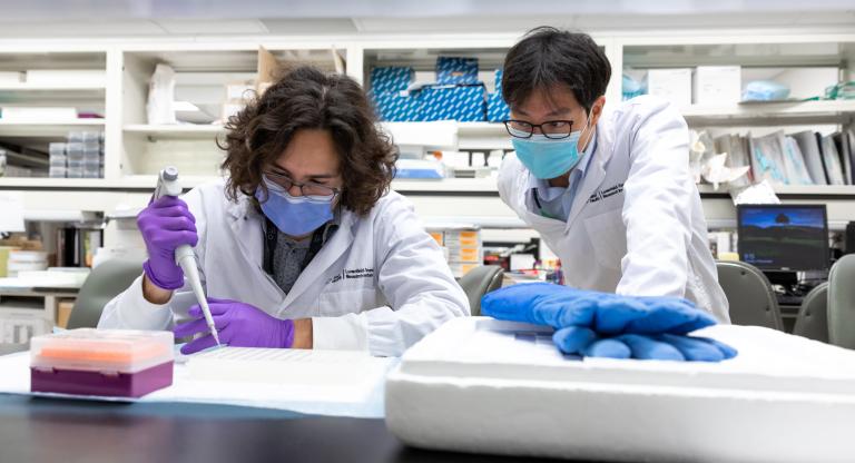 Two scientists working on a project