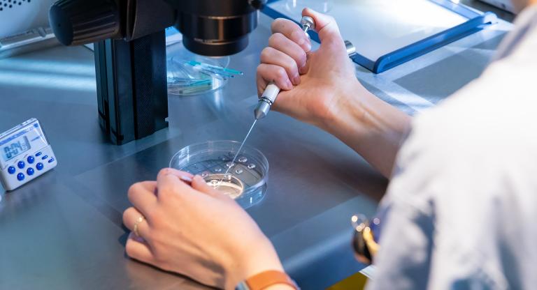 lab testing at fertility clinic
