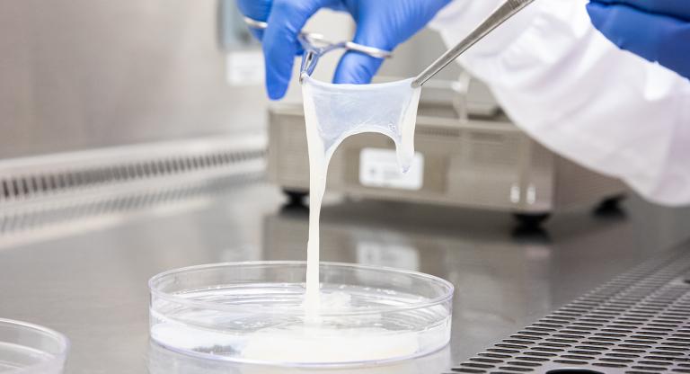 Placental tissue held up to be examined