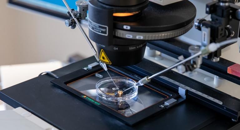A photo of a microscope looking into a petri dish.