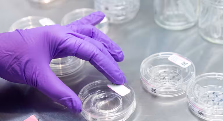 A gloved hand handling labeled petri dishes in a laboratory used for fertility or IVF procedures