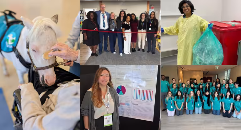A collage of five different photos of people at Sinai Health. On the left is a photo of a miniature horse visiting a patient, there are also two group photos and photos of two individuals