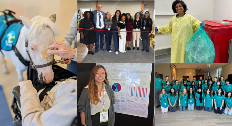 A collage of five different photos of people at Sinai Health. On the left is a photo of a miniature horse visiting a patient, there are also two group photos and photos of two individuals