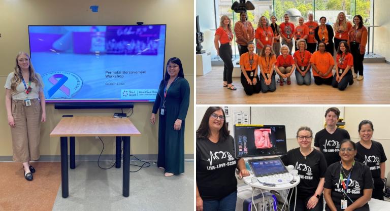 A composite image made of three images. On the left is two people standing on either side of a screen in a meeting room, on the right one image is a group of people in orange shirts and below that image is a group of ultrasound technicians standing around an ultrasound machine