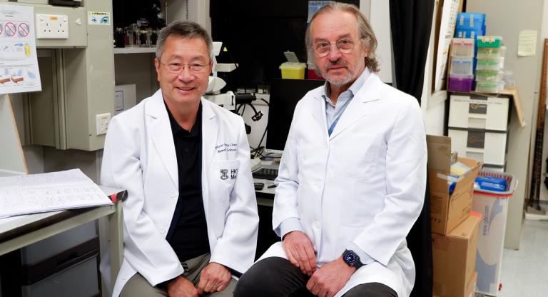 Drs. Danny Chan and Andras Nagy sit in the laboratory at Hong Kong University. 
