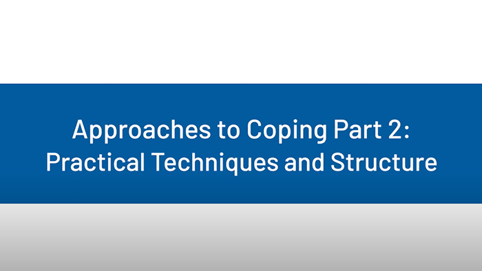 Approaches to Coping Part 2: Practical Techniques and Structure